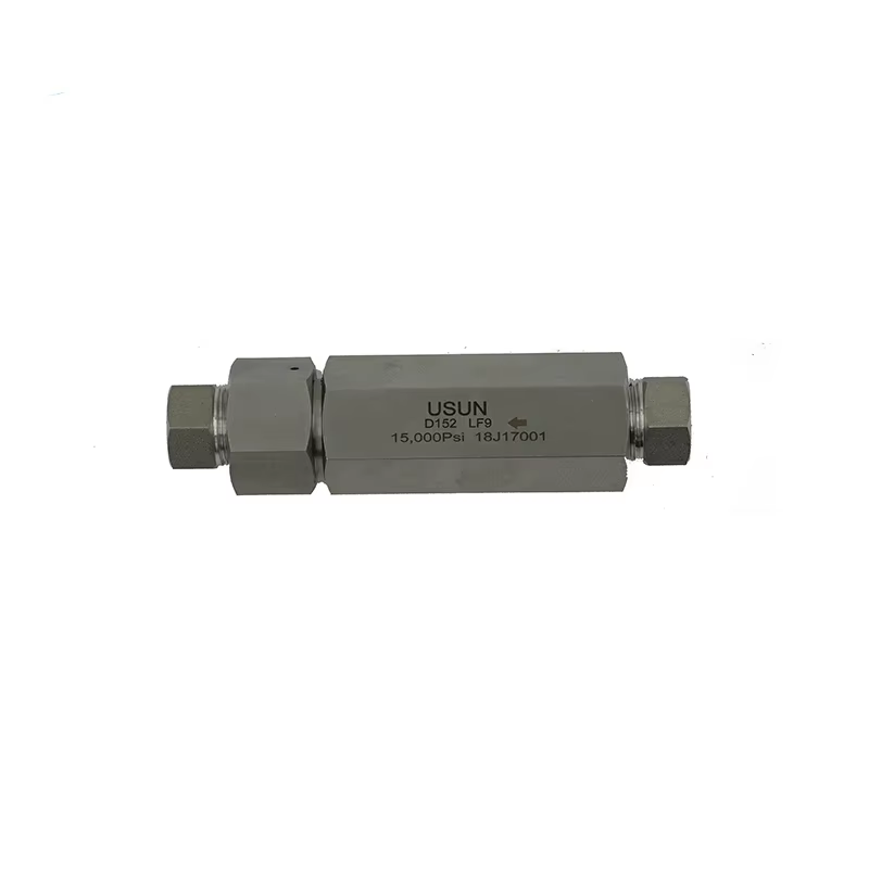 USUN Model: D202 20K PSI Similar Butech high pressure stainless steel ball check valve for test bench equipment 