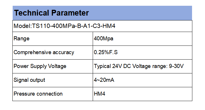 TS110-400МРa-B-A1-C3-HM4参数表